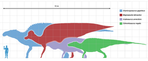 Hadrosaur size comparison.  Image by Dmitry Bogdanov